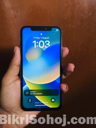 iPhone X